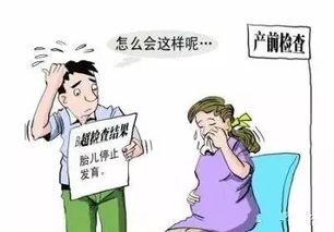 胎停的主要原因是什么呢