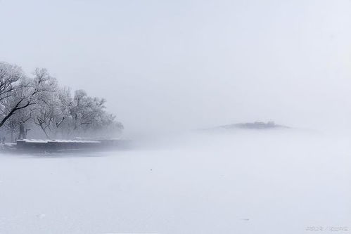 谁有关于雪的诗句，浪漫点的，急用！