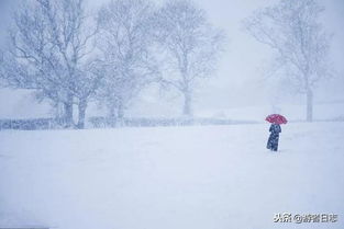 谁有关于雪的诗句，浪漫点的，急用！