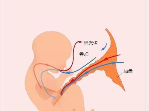 孕晚期35周羊水指数正常范围