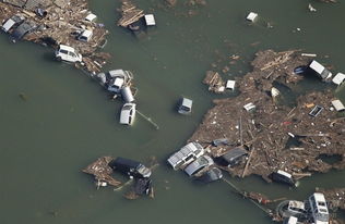 2011年3月,日本强烈地震后,海啸引发福岛第一核电站的放射性物质外