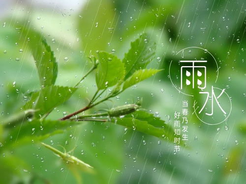 描写春雨的诗句的诗句