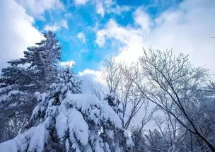 关于雪景的表白句子