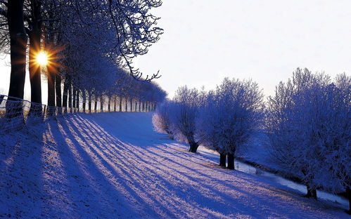 关于雪景的表白句子