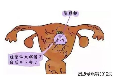 孕妇感染弓形虫有什么症状吗