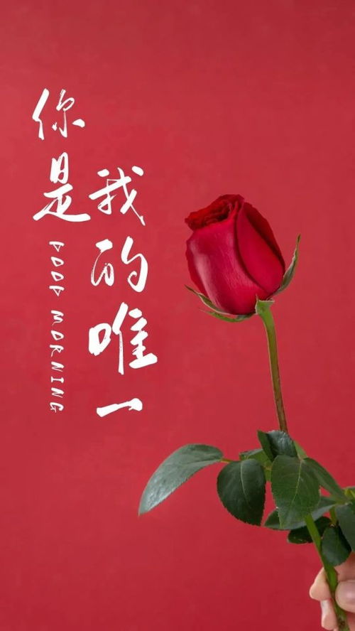 2021年2月14日情人节祝福语