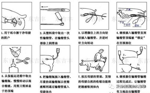 人工授精的三种方法的区别