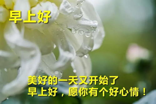 早安的句子 正能量短句