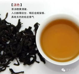 武夷肉桂是大红袍吗？ 51teashop.com