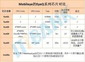 纠正胎龄是什么意思