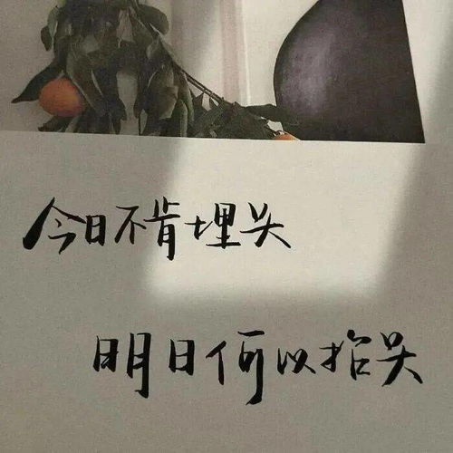 身不由己的朋友圈句子