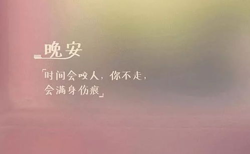 情人节经典语录_句子大全