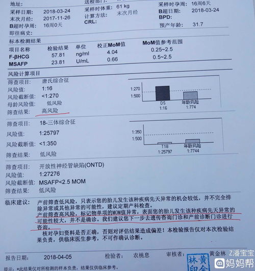 唐氏筛查多少钱一次