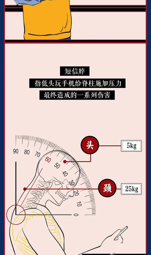 神奇的生物钟的作文