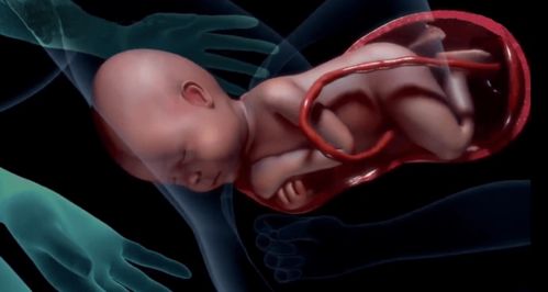 胎儿具备4种超能力是什么