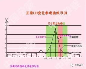 专家推荐最佳受孕日程表