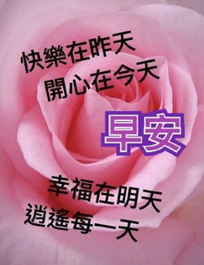 2021老婆早安暖心情话