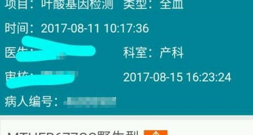 叶酸筛查是查什么的啊