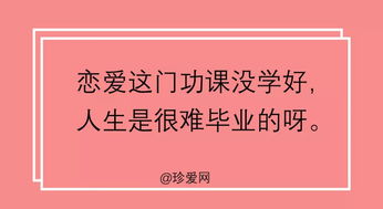 教师开学文案句子