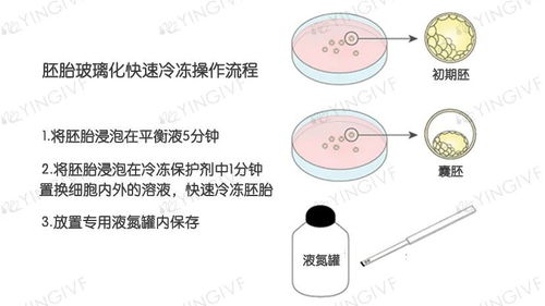 提高受精卵着床的秘诀