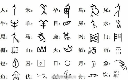 牧字的意思！