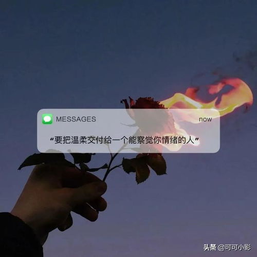 抖音最火的暖心句子