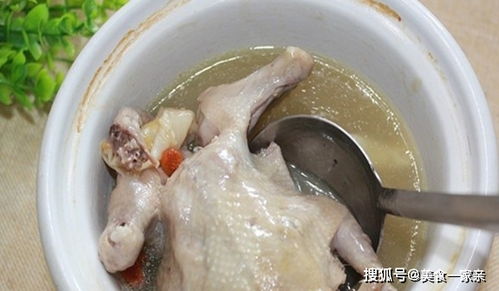 孕妇鸽子汤用老鸽还是乳鸽好