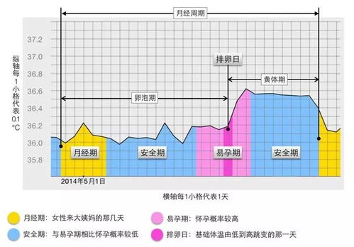 如何更好的排卵