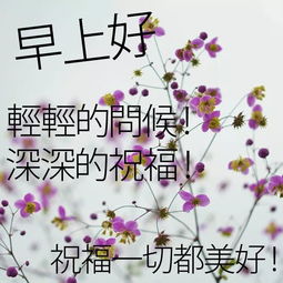 清明节寄语简短的2020