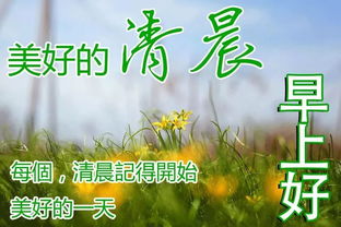 清明节寄语简短的2020