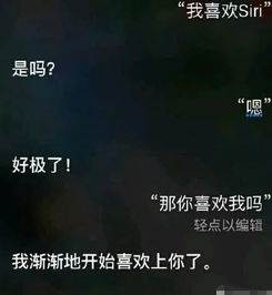 siri丧气语录