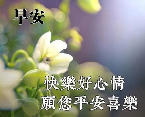 祝福大学新生的语言