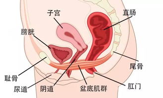 怀孕了发现有盆腔积液怎么办，