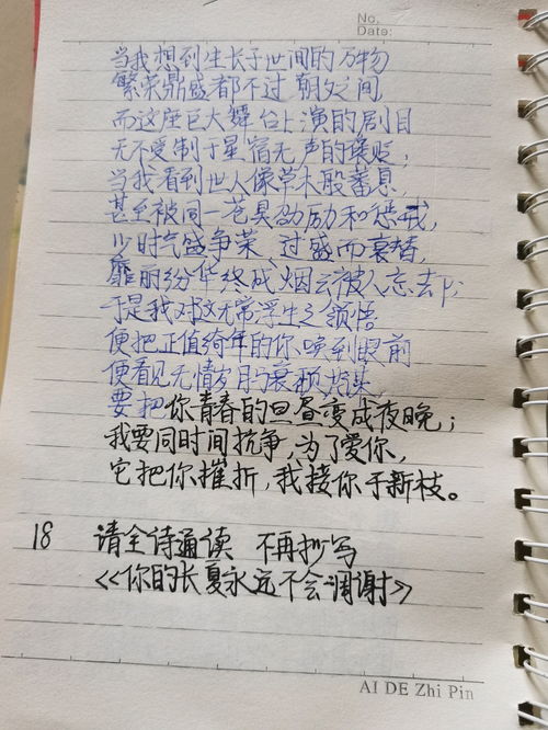 深度爱情感悟[摘抄113段怎么写