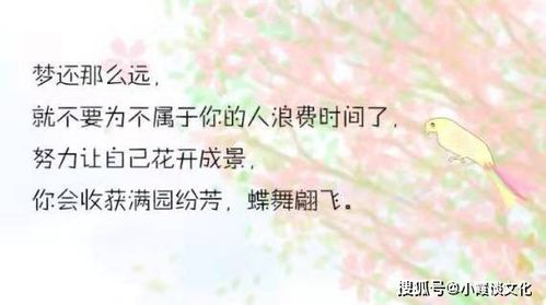 清明节高情商发朋友圈的句子