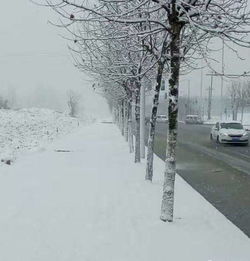 谁知道银川什么时间下雪啊，