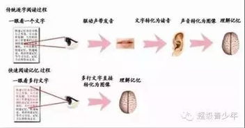 有助于增强宝宝记忆力的胎教方法是