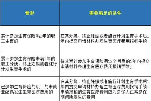 生育险报销流程2022