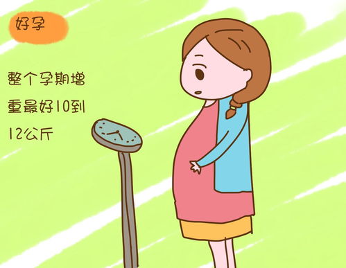 孕中期如何保健