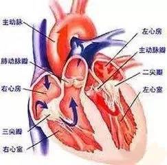 男性睾丸恶性肿瘤手术后会复发吗?