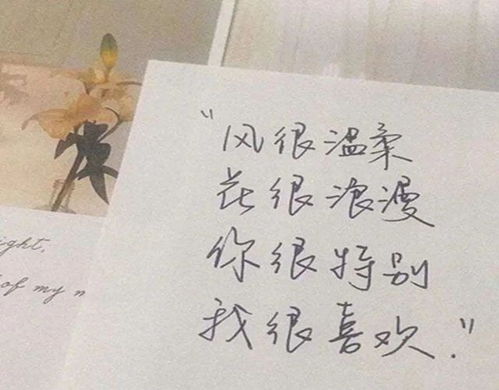 适合在520发的文案