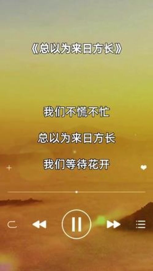 总以为来日方长的说说