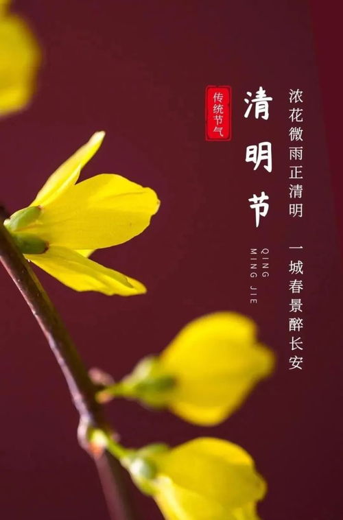 清明节缅怀先烈文案轻松