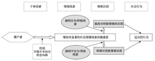 催产素的作用和用途是什么