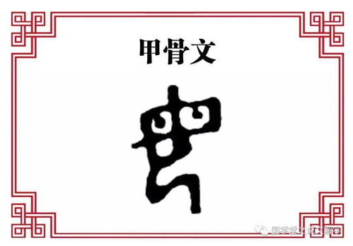 草字头加个鸟字念什么