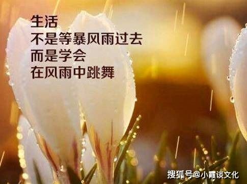 冬天阳光温暖的句子说说心情