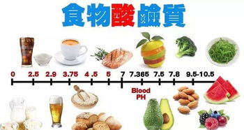 叶酸含量最高的60种食物表