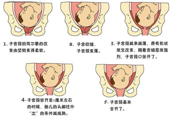 孕期健康的9个标志,准妈妈知道吗