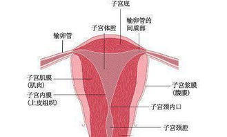 宫腔粘连怎么检查出来的