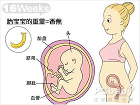 我怀孕三十六周加二胎儿严重缺氧怎么办